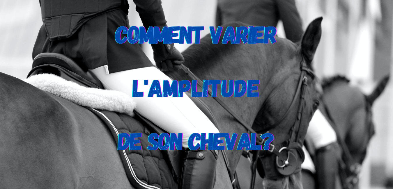 You are currently viewing Comment Varier l’Amplitude de son Cheval?