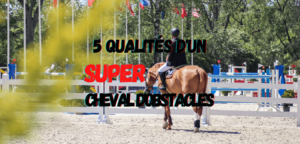 Lire la suite à propos de l’article 5 Qualités d’un (Super) Cheval d’Obstacle