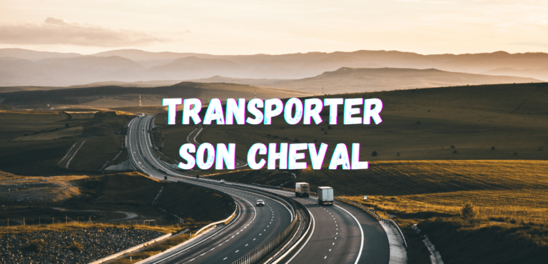 Lire la suite à propos de l’article Transporter son Cheval