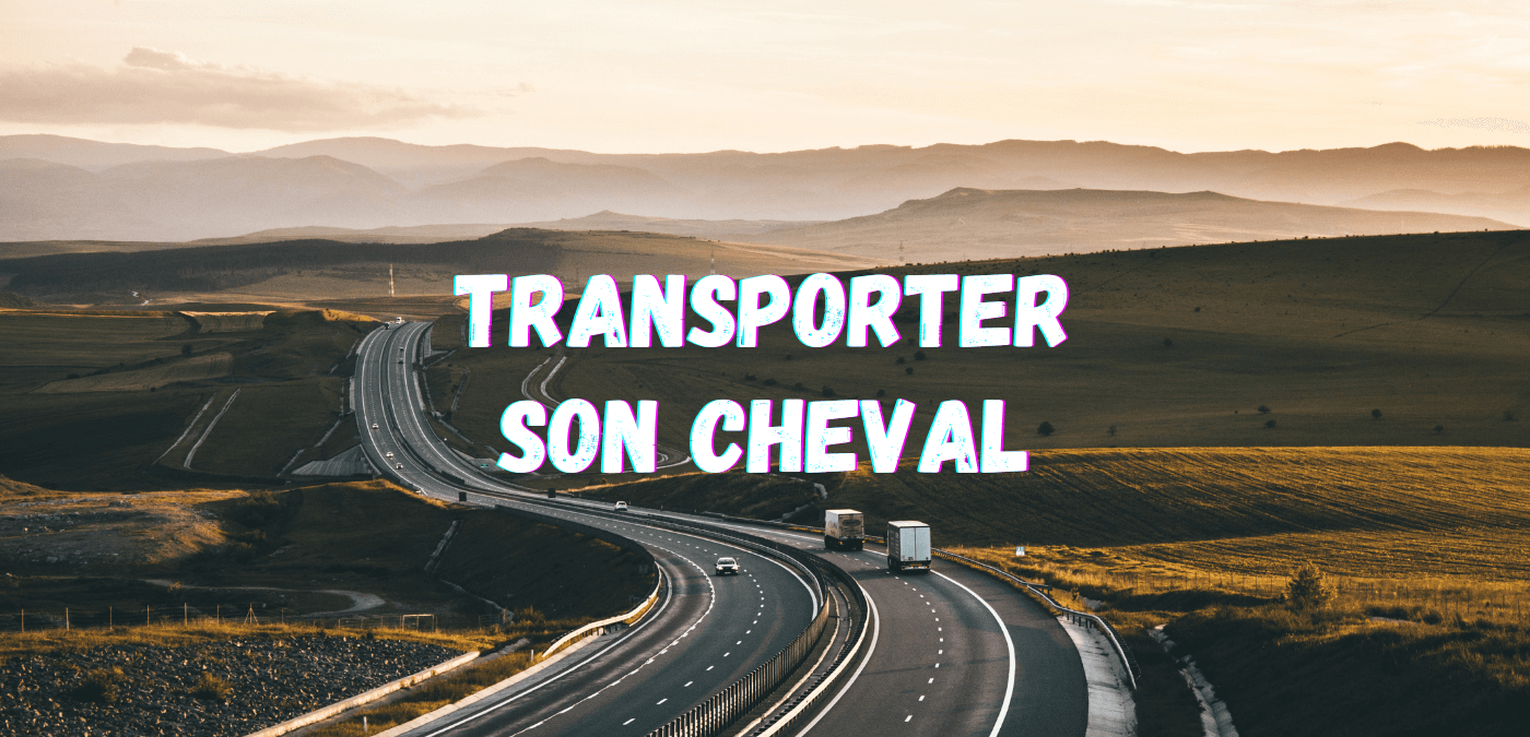 You are currently viewing Transporter son Cheval