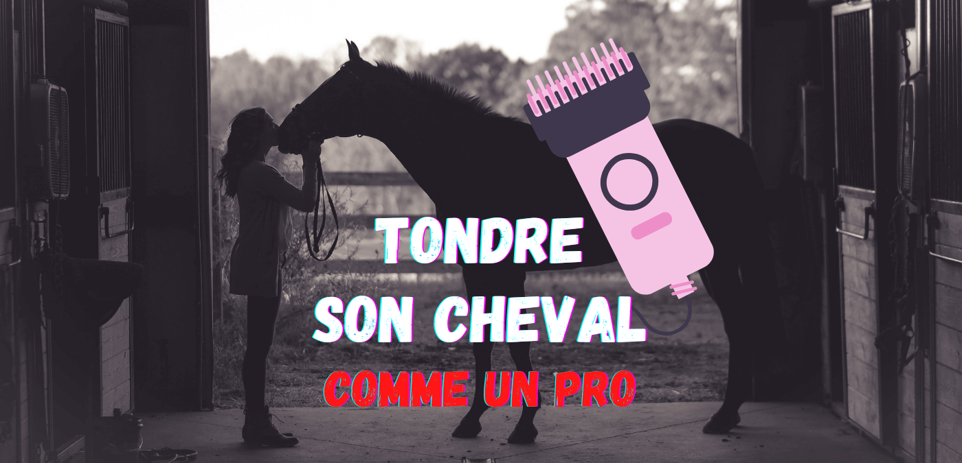 You are currently viewing Tondre son Cheval (Comme un Pro)