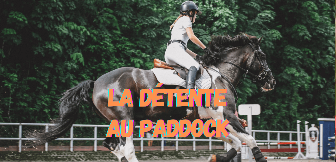You are currently viewing La Détente au Paddock