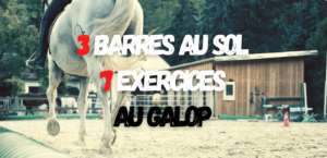 Lire la suite à propos de l’article 3 Barres au Sol, 7 Exercices au Galop