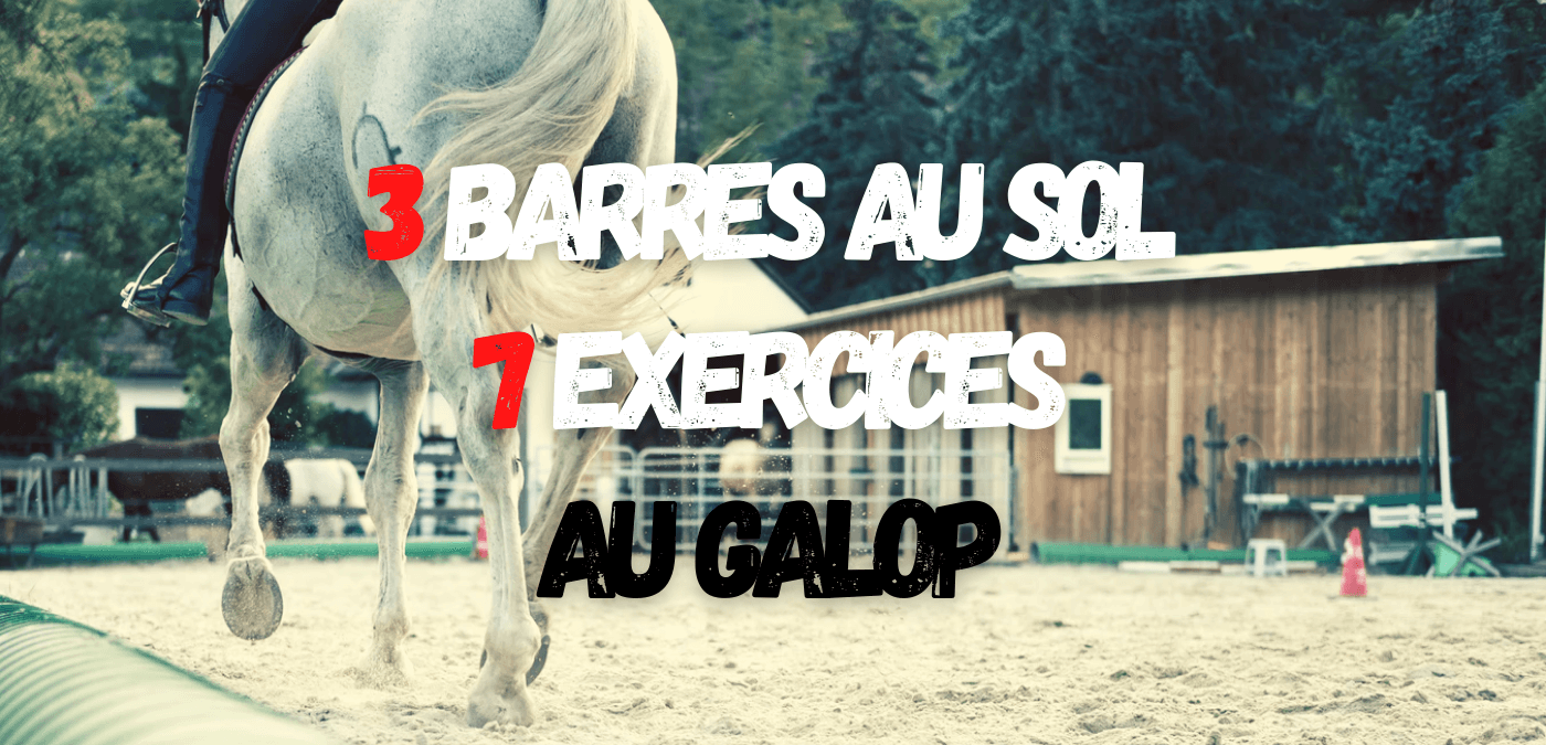 You are currently viewing 3 Barres au Sol, 7 Exercices au Galop