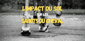 Lire la suite à propos de l’article L’Impact du Sol sur les Sabots du Cheval