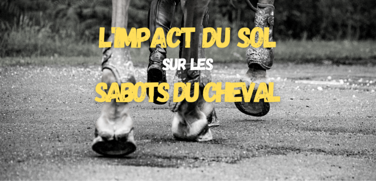 Lire la suite à propos de l’article L’Impact du Sol sur les Sabots du Cheval
