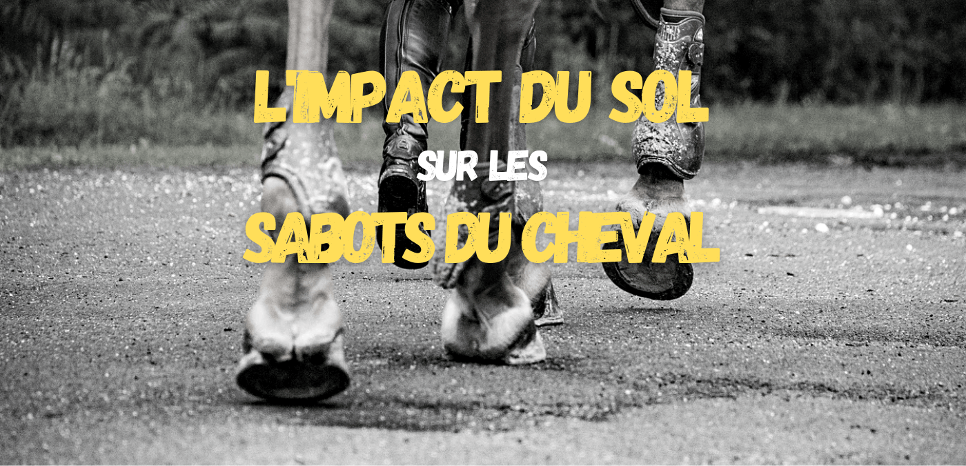 You are currently viewing L’Impact du Sol sur les Sabots du Cheval
