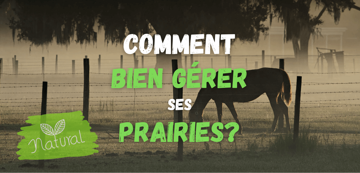 You are currently viewing Comment Bien Gérer ses Prairies?