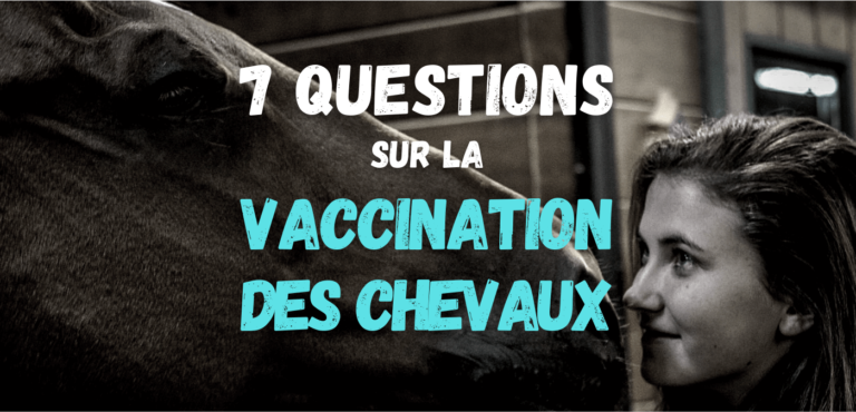 Lire la suite à propos de l’article Questions sur la Vaccination des Chevaux