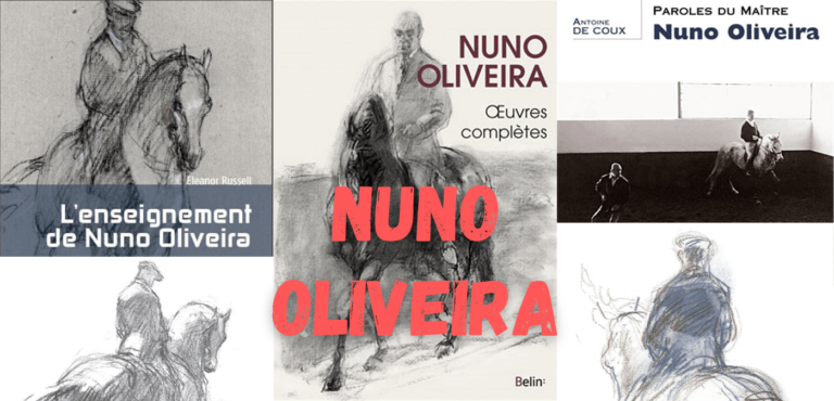 Lire la suite à propos de l’article Nuno Oliveira