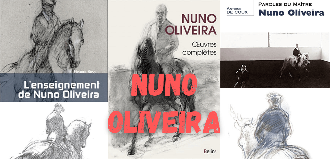 You are currently viewing Nuno Oliveira