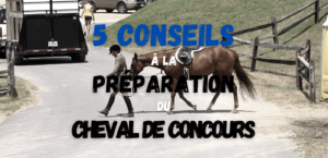 Lire la suite à propos de l’article Préparation Physique et Mentale du Cheval de Concours
