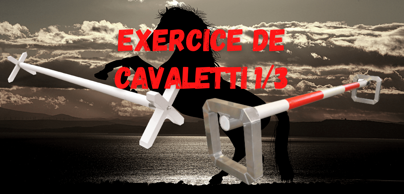 You are currently viewing Exercice de Cavaletti 1/3