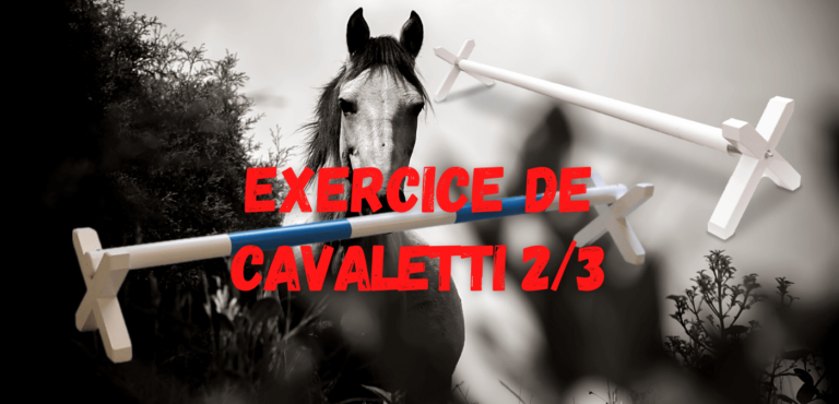 Lire la suite à propos de l’article Exercice de Cavaletti 2/3