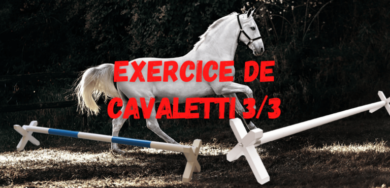 Lire la suite à propos de l’article Exercice de Cavaletti 3/3