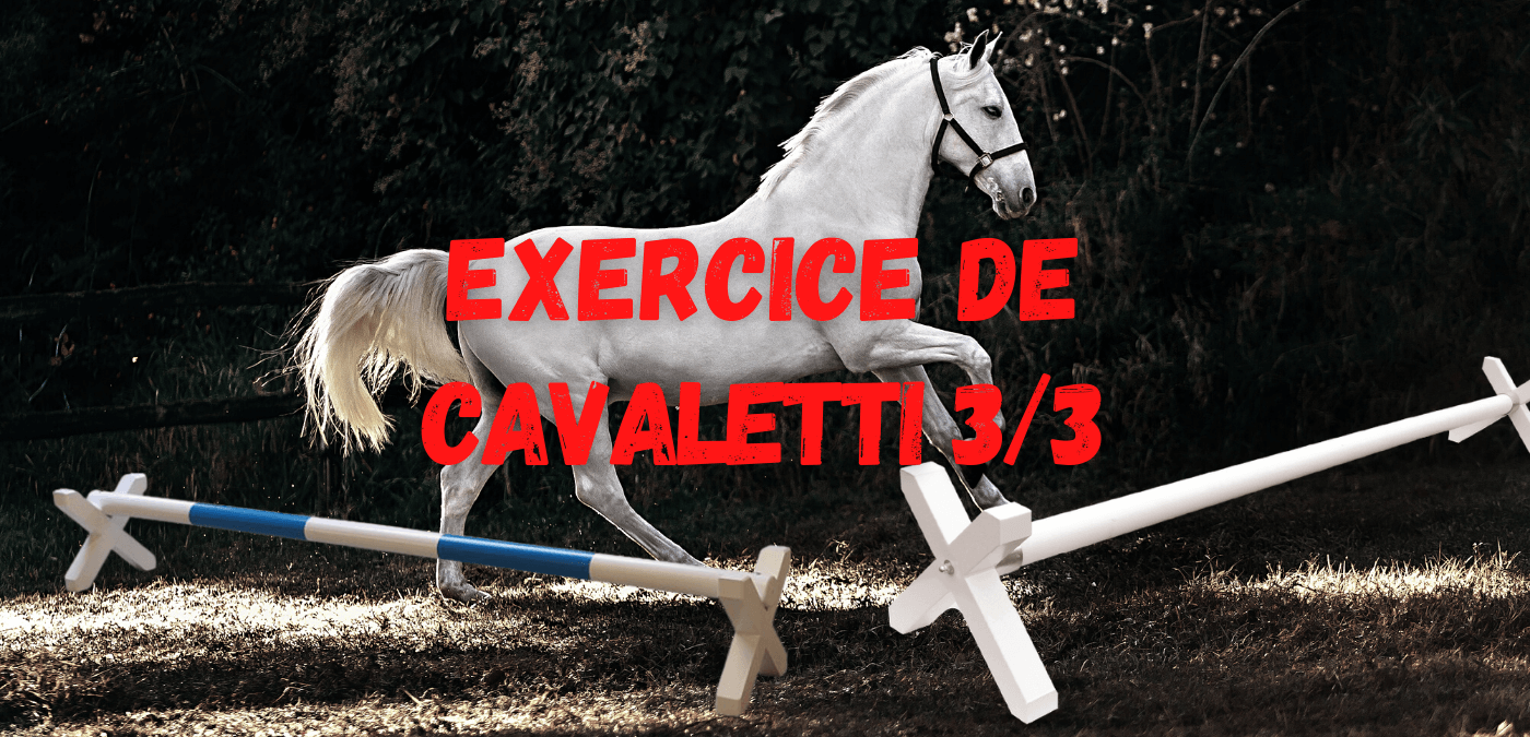 You are currently viewing Exercice de Cavaletti 3/3