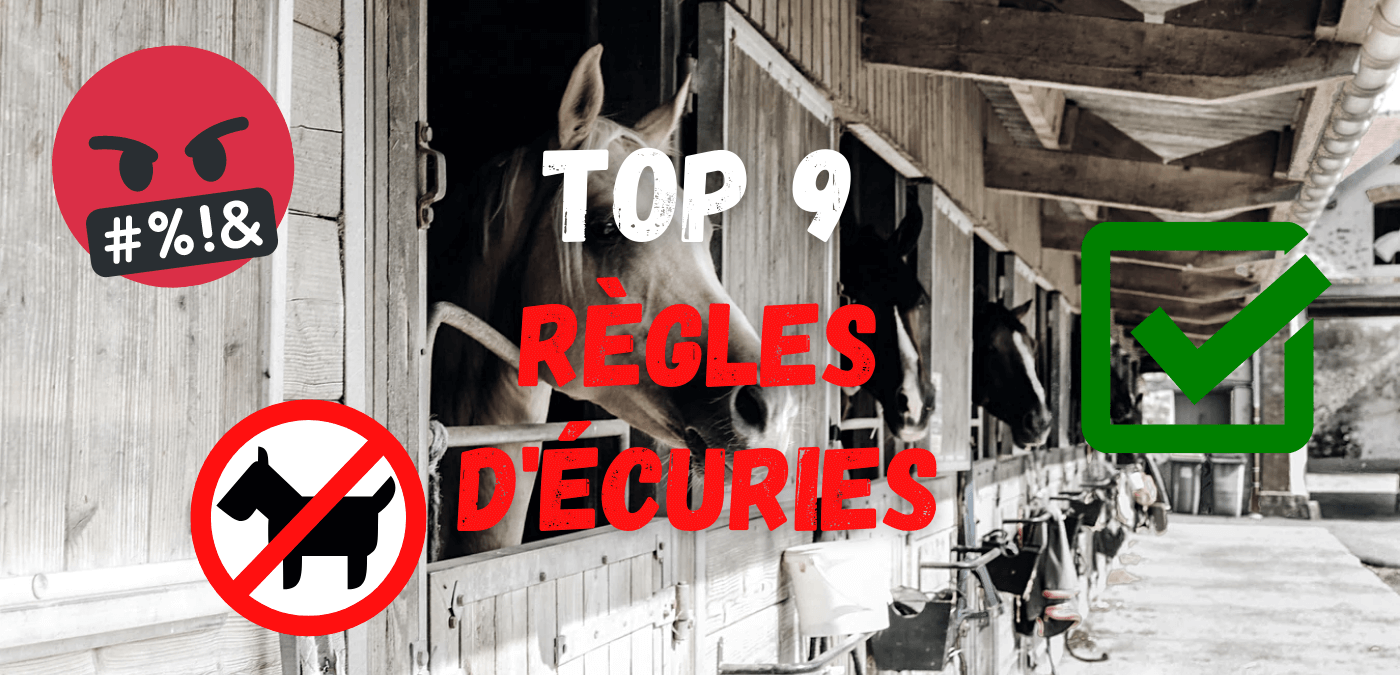 You are currently viewing TOP 9 Règles d’Écuries