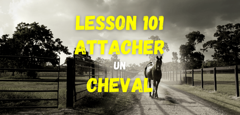 Lire la suite à propos de l’article Lesson 101 – Attacher un cheval
