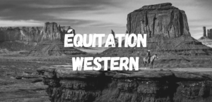 équitation western