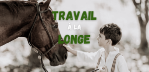 Lire la suite à propos de l’article Travail à la longe