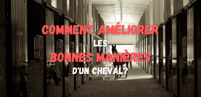 Lire la suite à propos de l’article Comment améliorer les bonnes manières de mon cheval?