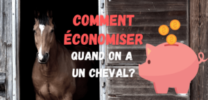 Lire la suite à propos de l’article 8 façons d’économiser quand on a un cheval