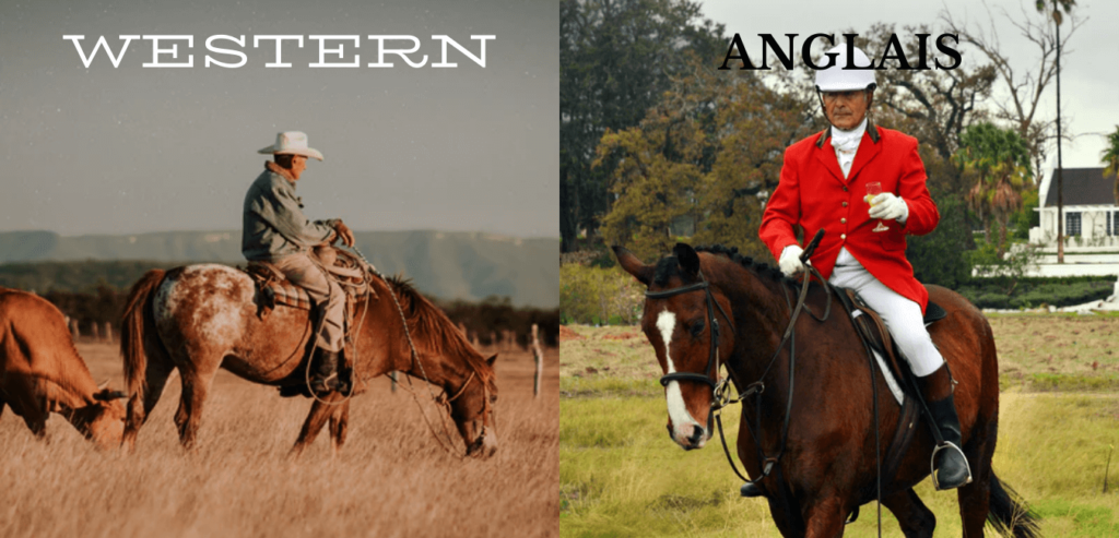 cavalier western et cavalier anglais