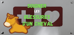 Lire la suite à propos de l’article Soigner les blessures d’un cheval