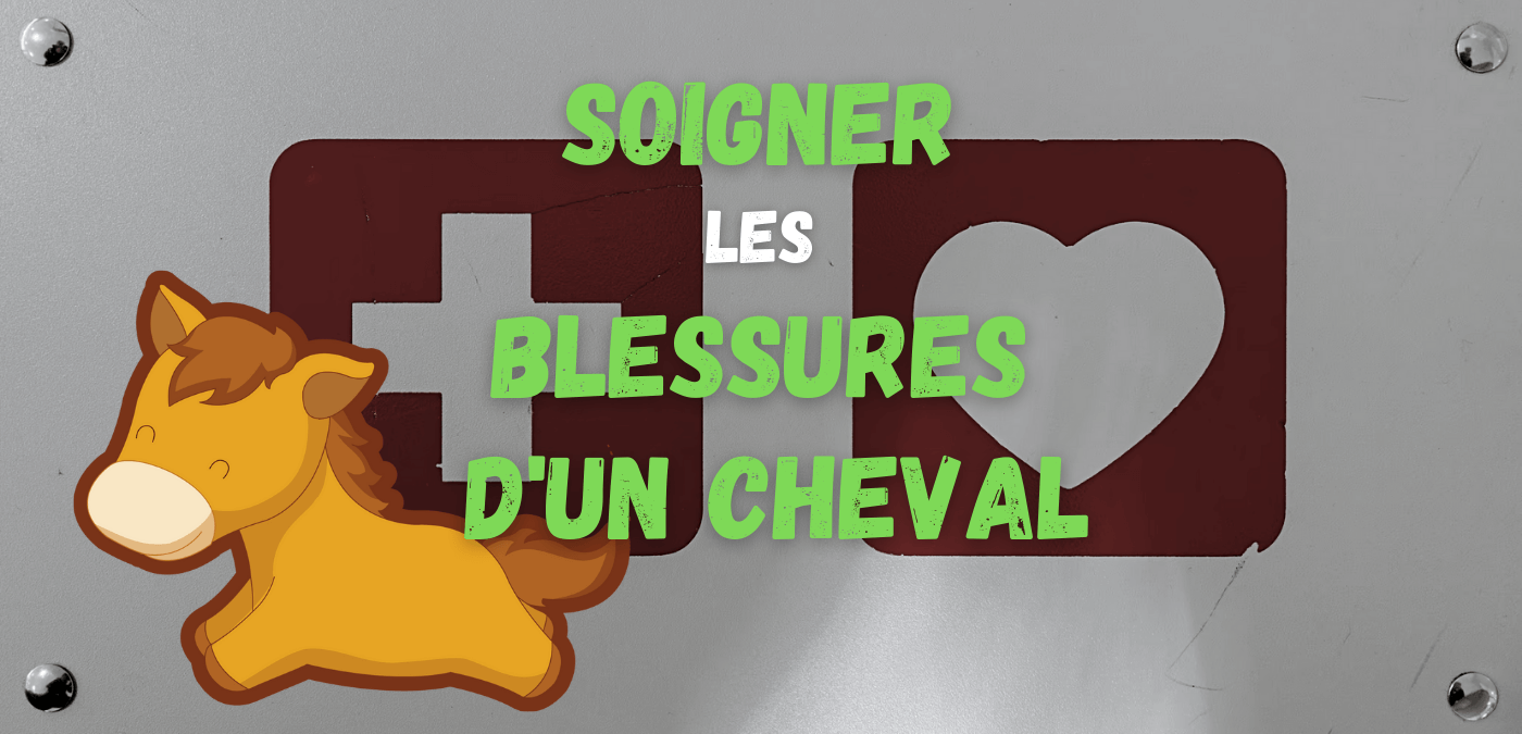 You are currently viewing Soigner les blessures d’un cheval