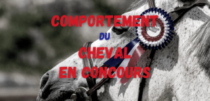 Lire la suite à propos de l’article Le comportement du cheval en concours