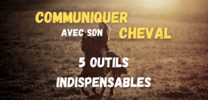 Lire la suite à propos de l’article 5 outils indispensables pour mieux communiquer avec son cheval