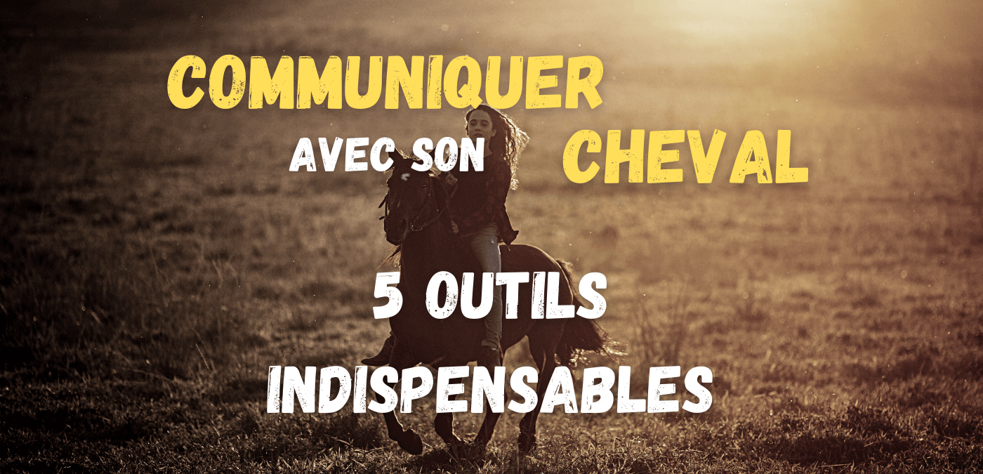 You are currently viewing 5 outils indispensables pour mieux communiquer avec son cheval
