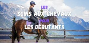 Lire la suite à propos de l’article Conseils essentiels sur les soins aux chevaux pour les débutants