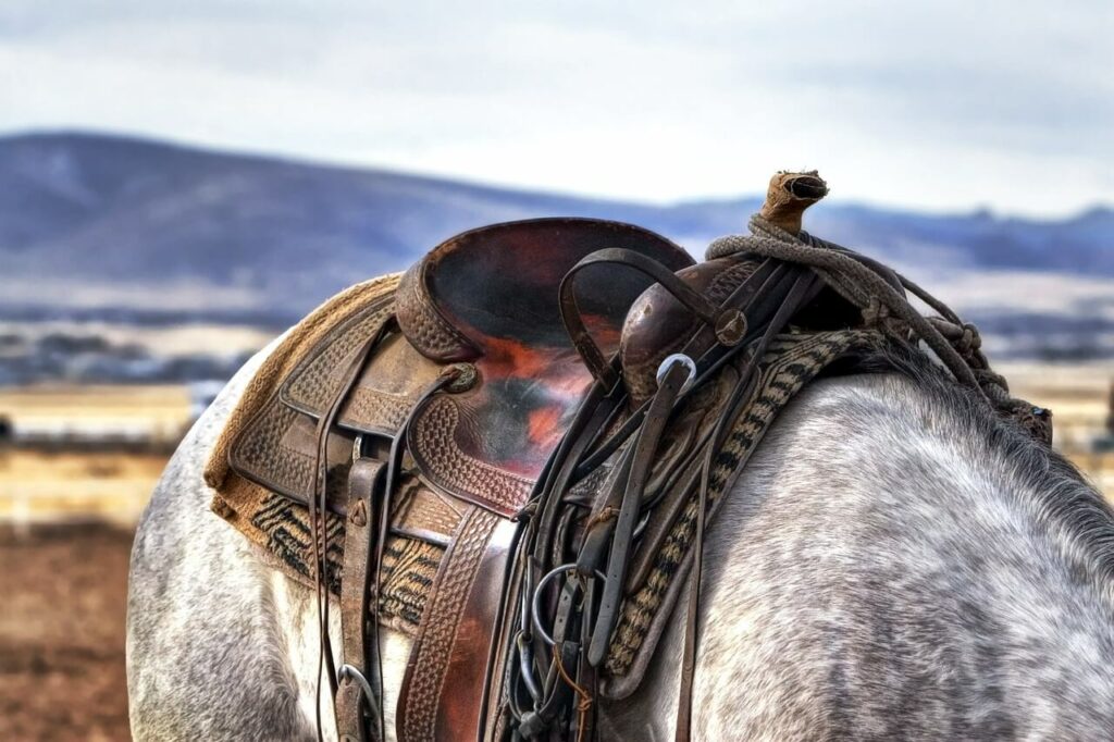 selle d'équitation western