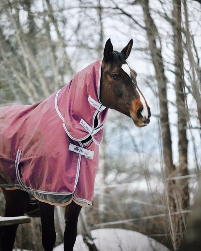 couverture imperméable cheval