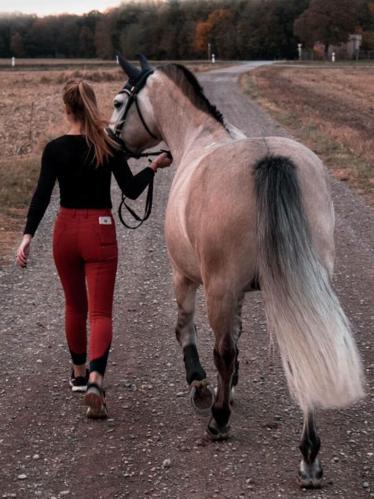 culotte de cheval