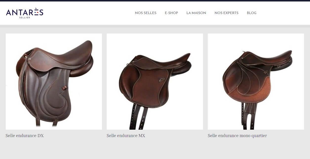 selle randonnée cheval Antarès