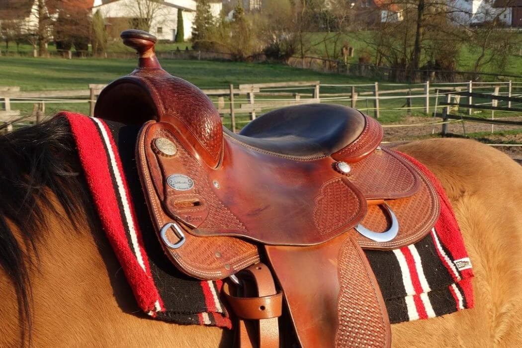 selle western