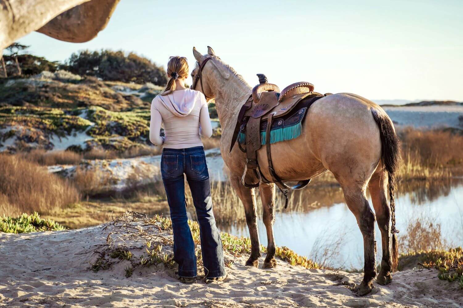 selle de cheval western