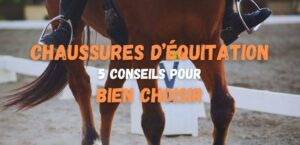 Lire la suite à propos de l’article Les chaussures d’équitation – 5 conseils pour bien choisir