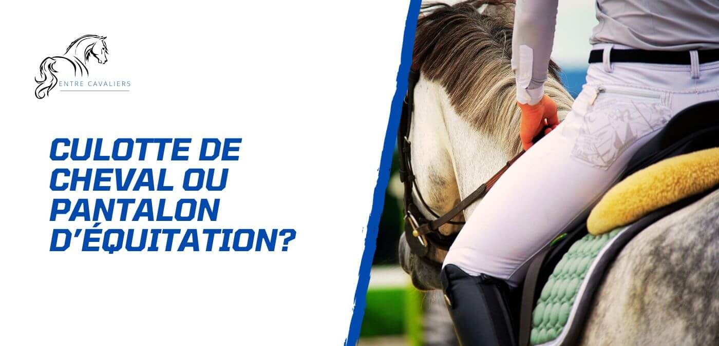 culotte de cheval ou pantalon d'équitation