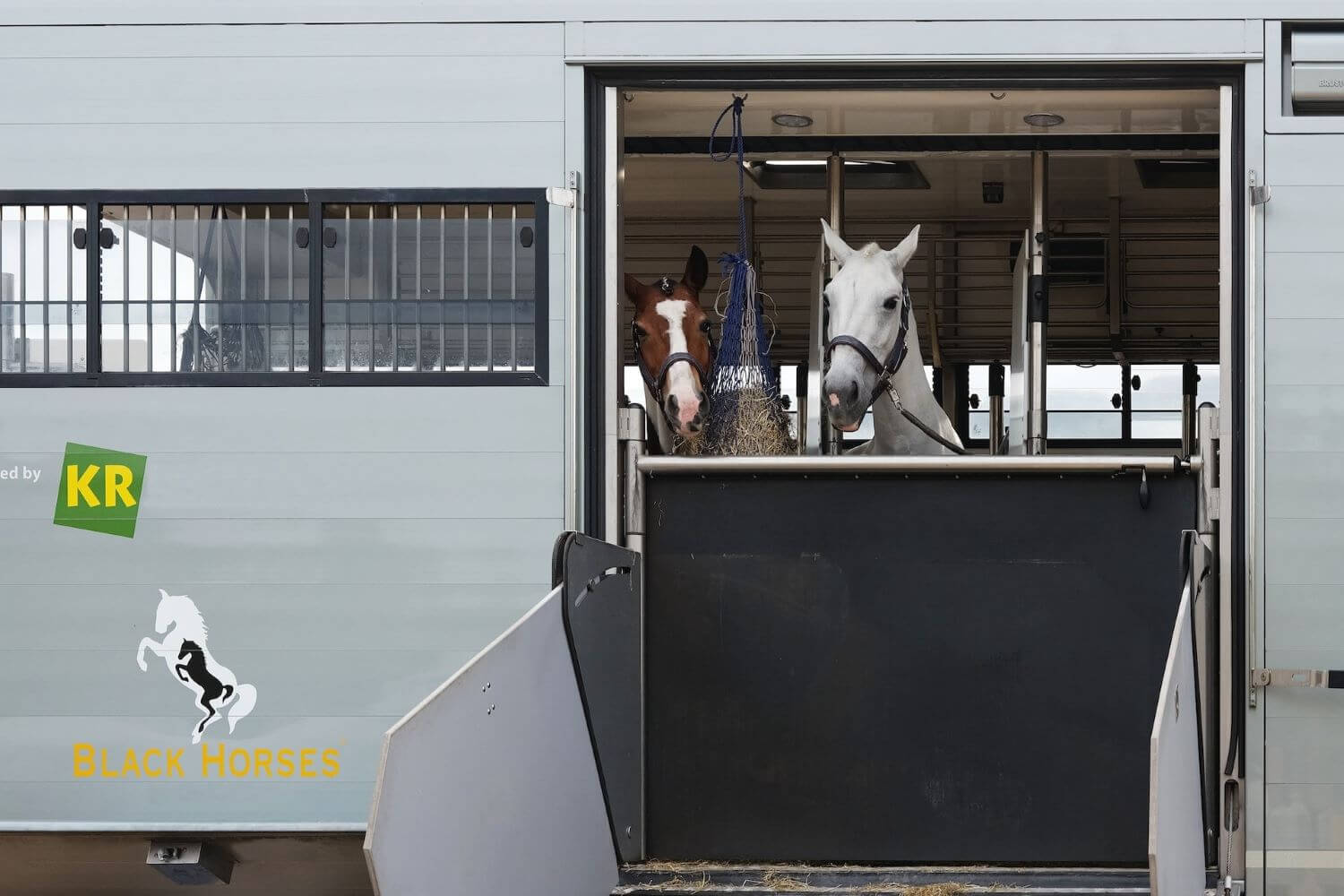 camion chevaux