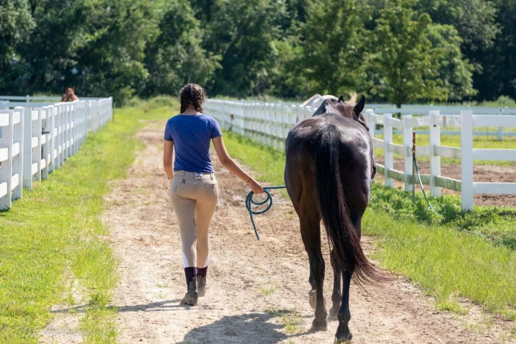 marcher un cheval