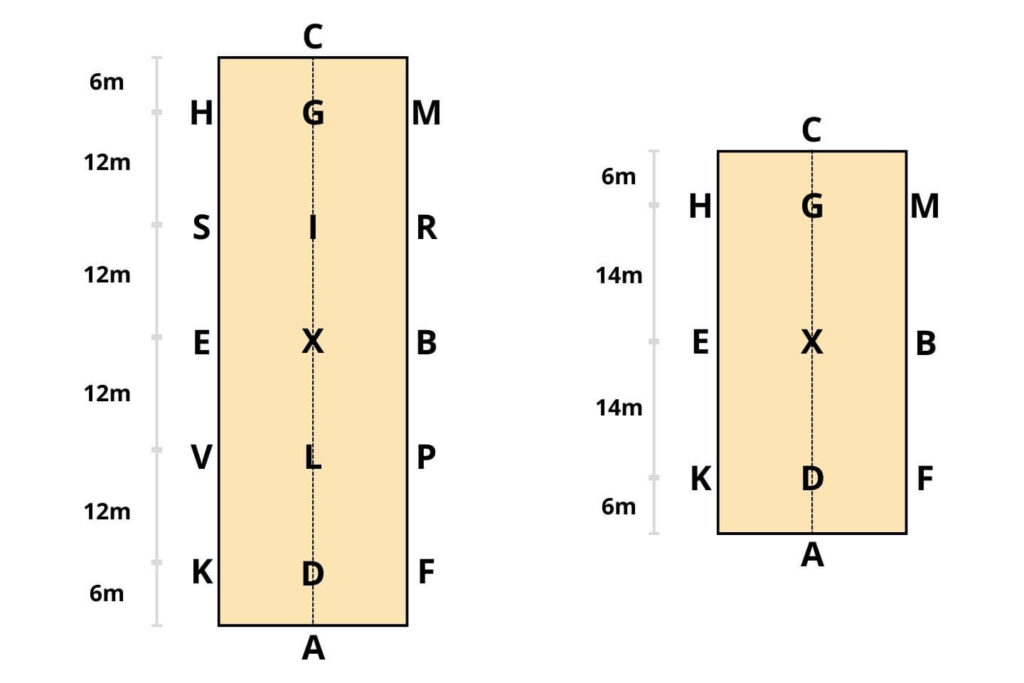 lettres carrière de dressage