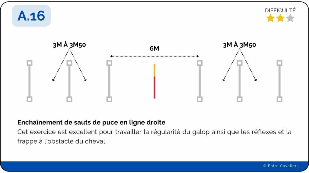 saut de puce