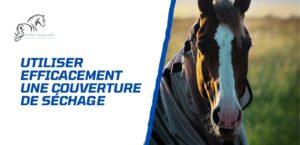 Lire la suite à propos de l’article Utiliser efficacement une couverture de séchage