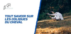 Lire la suite à propos de l’article Les coliques du cheval – Causes, symptômes, traitement et prévention