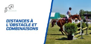 Lire la suite à propos de l’article Introduction aux distances à l’obstacles et aux combinaisons