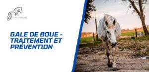 Lire la suite à propos de l’article La gale de boue du cheval – Traitement et prévention