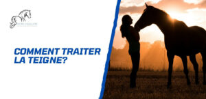 Lire la suite à propos de l’article Comment traiter la teigne du cheval? Conseils d’experts